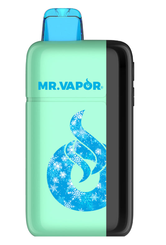 Mr vapor arctic 30k puffs wintergreen