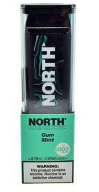 North disposable vape 5k puffs 10ct Gum mint